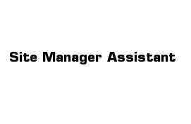 Site Manager Assistant